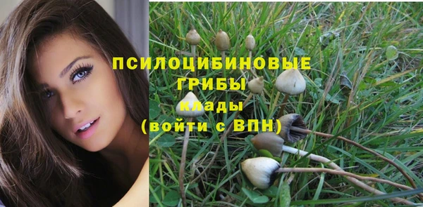 прущие крисы Медногорск