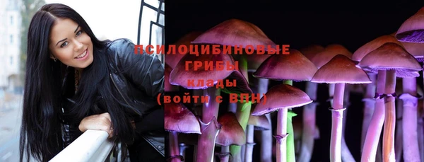прущие крисы Медногорск