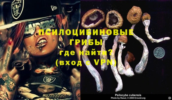 прущие крисы Медногорск