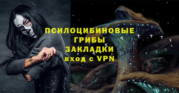 apvp Медвежьегорск