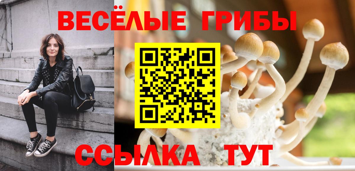 Галлюциногенные грибы Psilocybe  Вход с VPN  Челябинск 