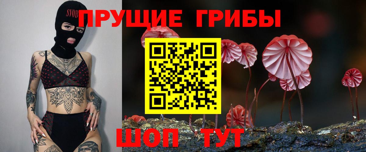 Псилоцибиновые грибы Psilocybe  где купить наркотик  Челябинск 