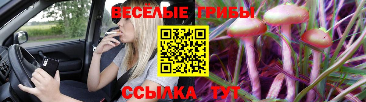 Галлюциногенные грибы Cubensis Челябинск